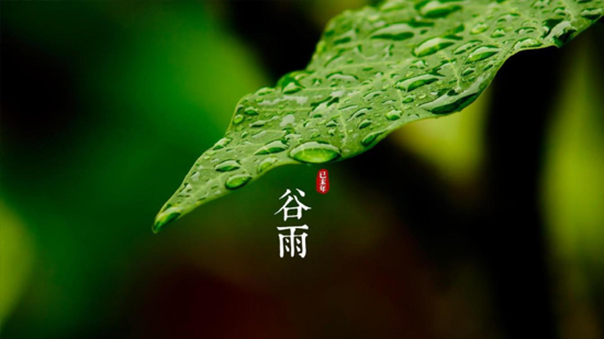 谷雨|喝一杯純凈好水，沐一場(chǎng)人間春色